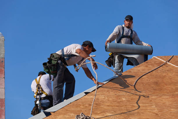 Best Roof Repair Services  in Highlands, CA