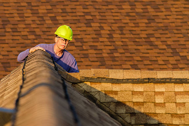Best Roof Maintenance Services  in Highlands, CA